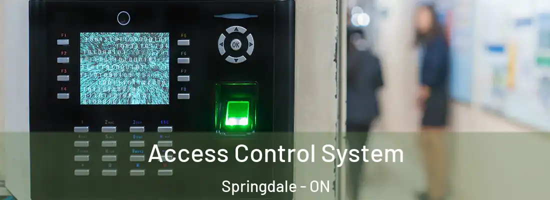  Access Control System Springdale - ON