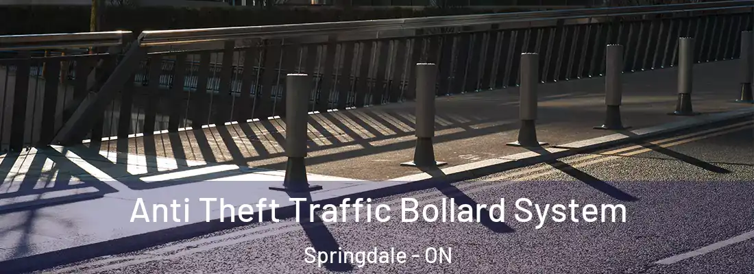  Anti Theft Traffic Bollard System Springdale - ON