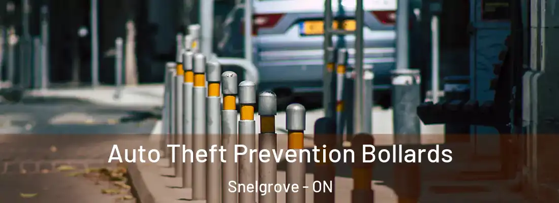 Auto Theft Prevention Bollards Snelgrove - ON