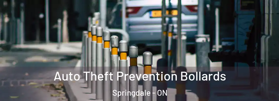  Auto Theft Prevention Bollards Springdale - ON