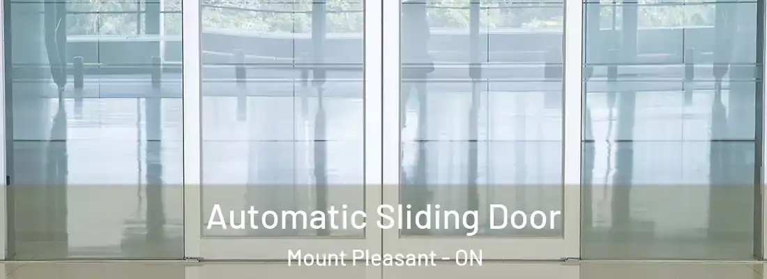  Automatic Sliding Door Mount Pleasant - ON