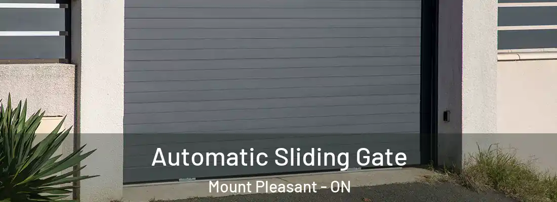  Automatic Sliding Gate Mount Pleasant - ON