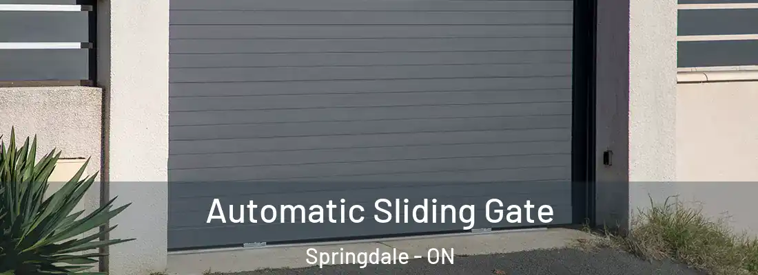  Automatic Sliding Gate Springdale - ON