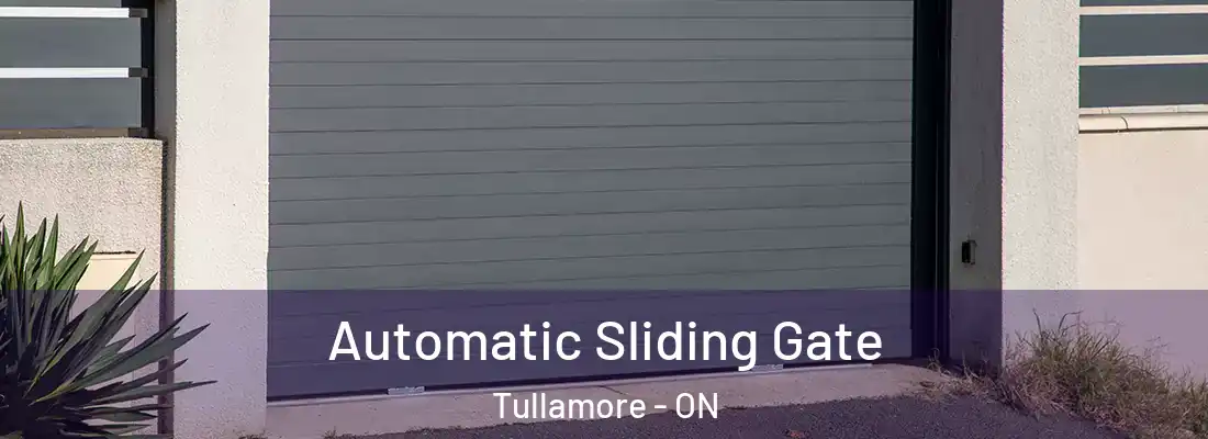  Automatic Sliding Gate Tullamore - ON
