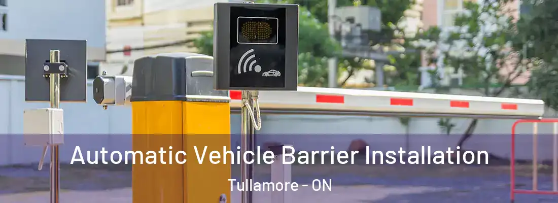  Automatic Vehicle Barrier Installation Tullamore - ON