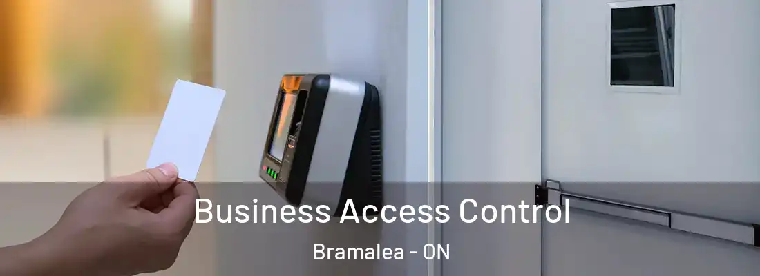  Business Access Control Bramalea - ON