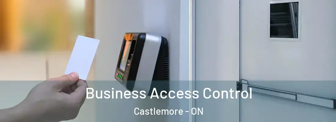  Business Access Control Castlemore - ON