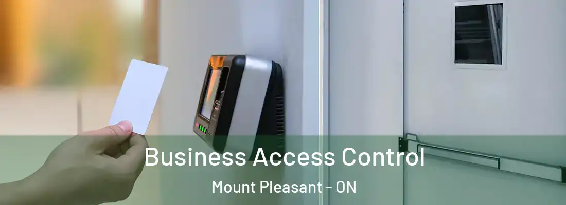  Business Access Control Mount Pleasant - ON