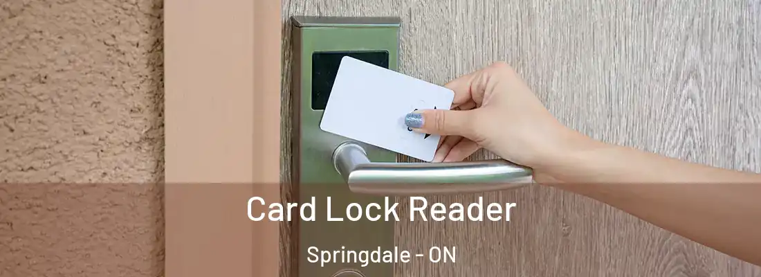  Card Lock Reader Springdale - ON