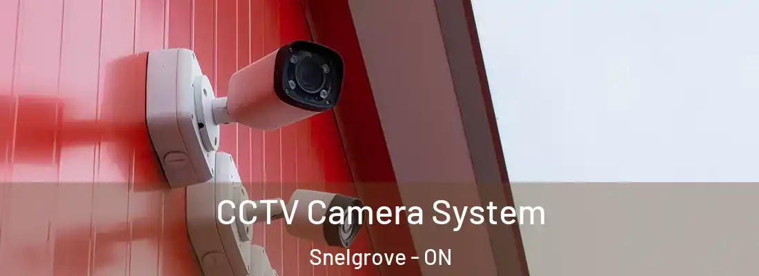  CCTV Camera System Snelgrove - ON