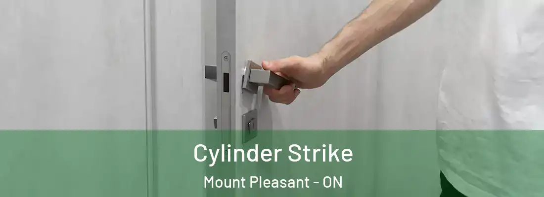  Cylinder Strike Mount Pleasant - ON