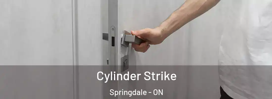  Cylinder Strike Springdale - ON