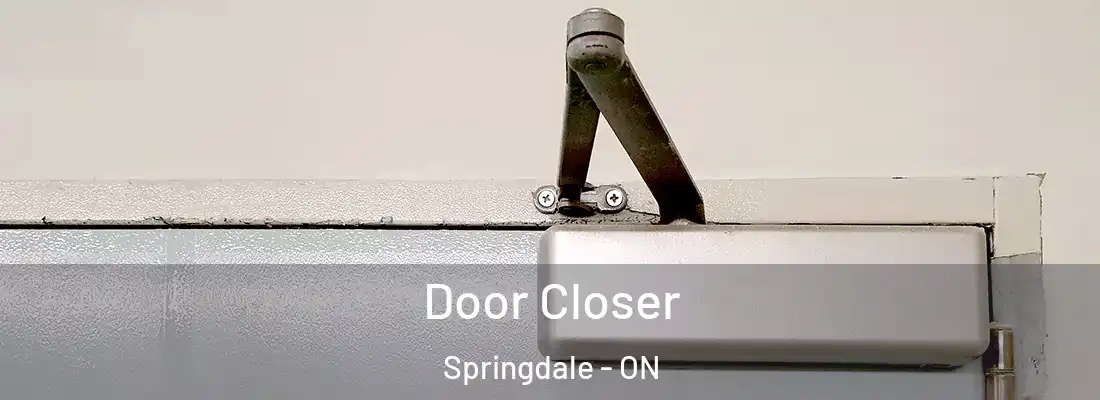  Door Closer Springdale - ON