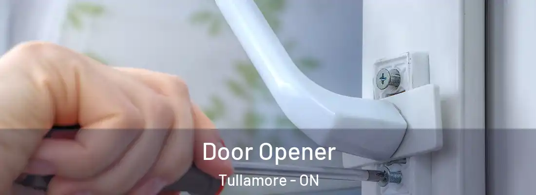  Door Opener Tullamore - ON
