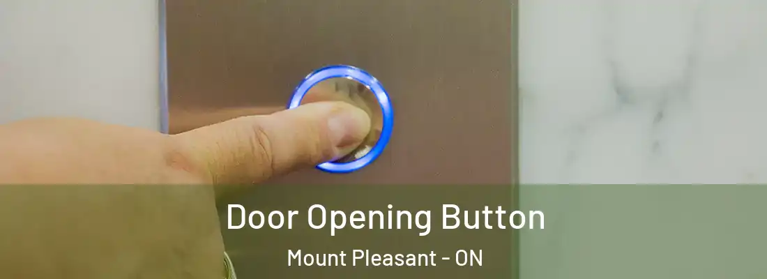  Door Opening Button Mount Pleasant - ON