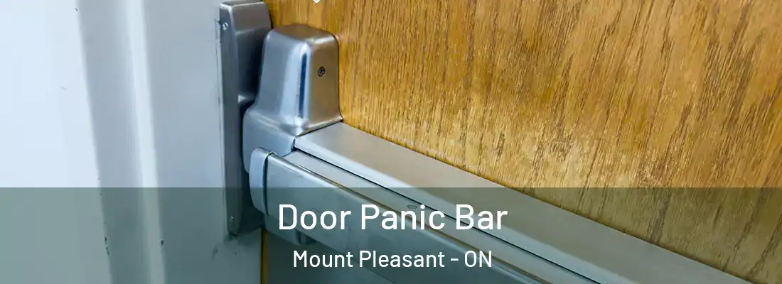 Door Panic Bar Mount Pleasant - ON