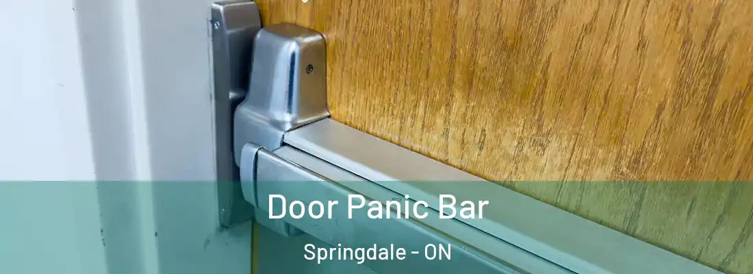  Door Panic Bar Springdale - ON