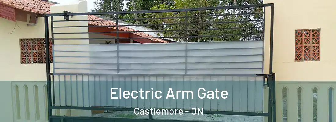  Electric Arm Gate Castlemore - ON