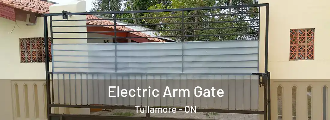  Electric Arm Gate Tullamore - ON