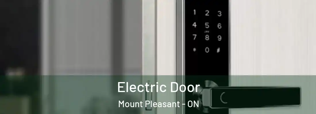  Electric Door Mount Pleasant - ON