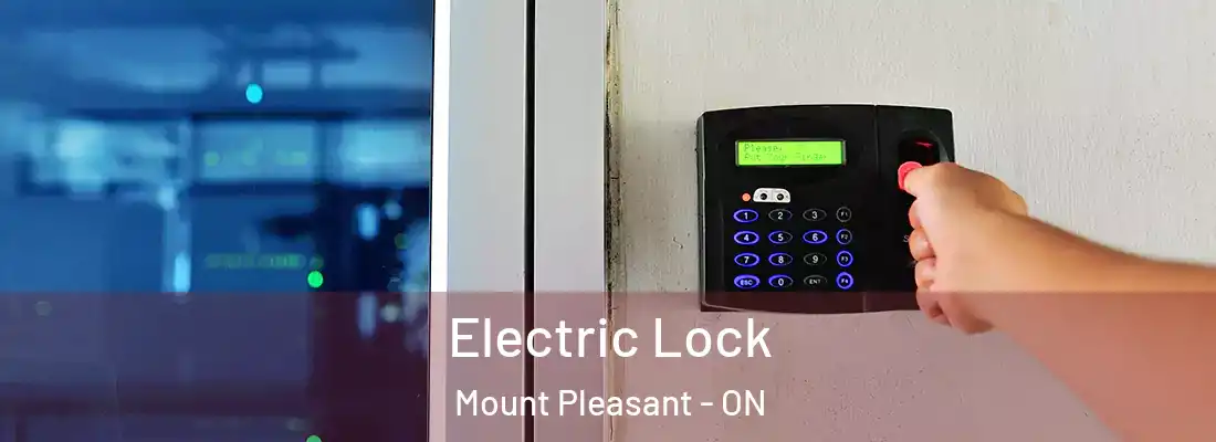  Electric Lock Mount Pleasant - ON