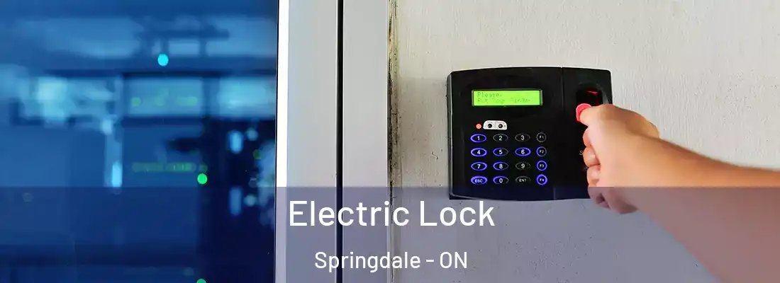  Electric Lock Springdale - ON