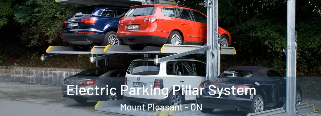  Electric Parking Pillar System Mount Pleasant - ON