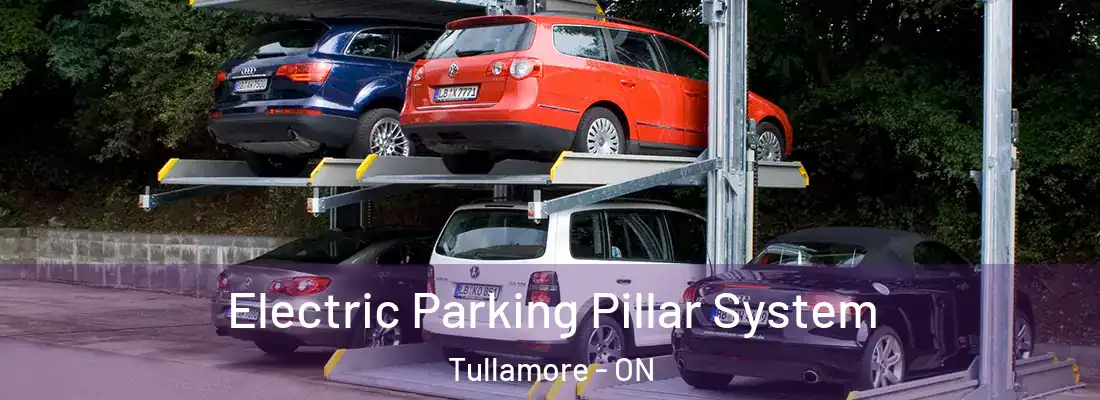  Electric Parking Pillar System Tullamore - ON