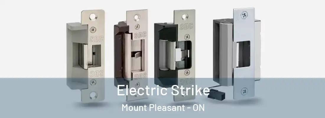  Electric Strike Mount Pleasant - ON