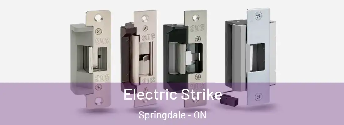  Electric Strike Springdale - ON