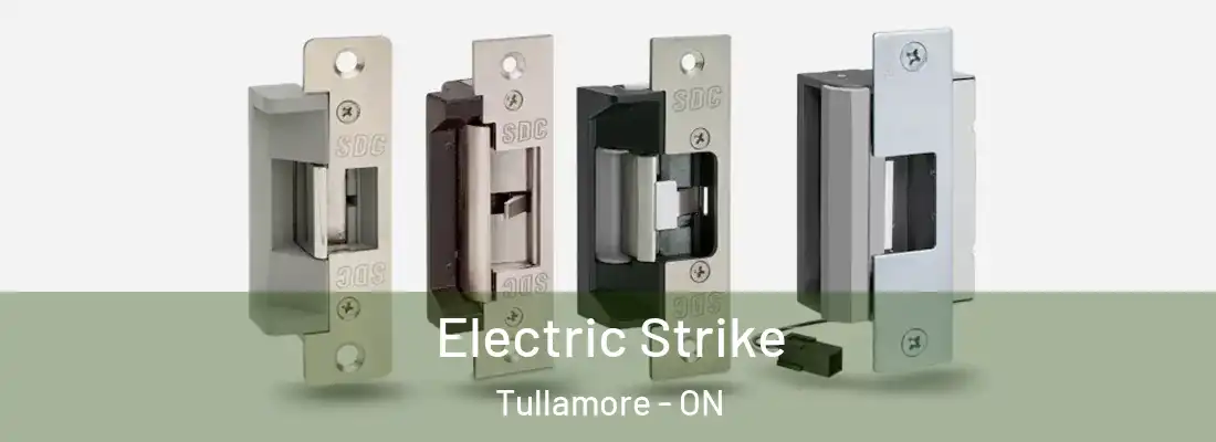  Electric Strike Tullamore - ON