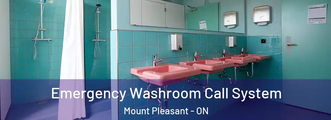  Emergency Washroom Call System Mount Pleasant - ON