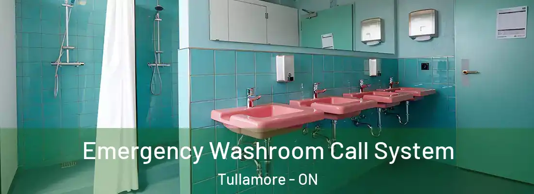  Emergency Washroom Call System Tullamore - ON