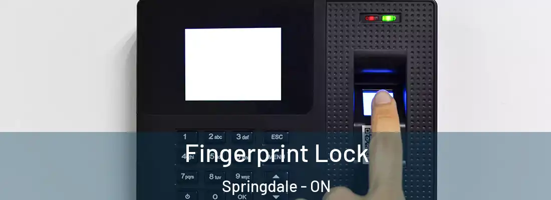  Fingerprint Lock Springdale - ON
