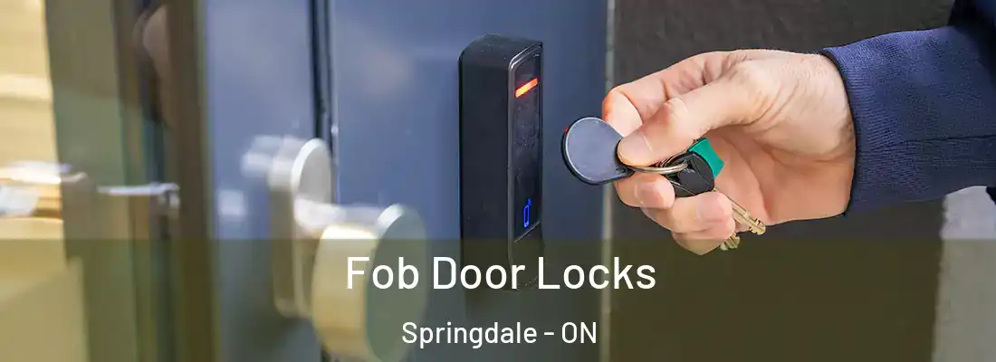  Fob Door Locks Springdale - ON
