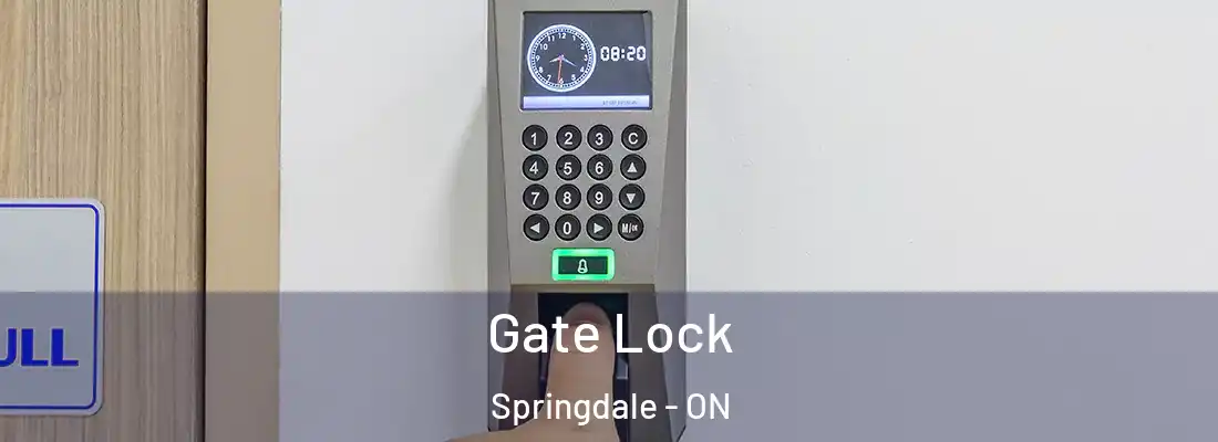  Gate Lock Springdale - ON