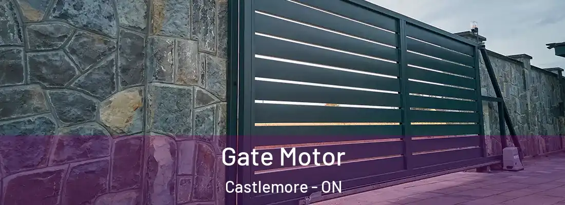  Gate Motor Castlemore - ON