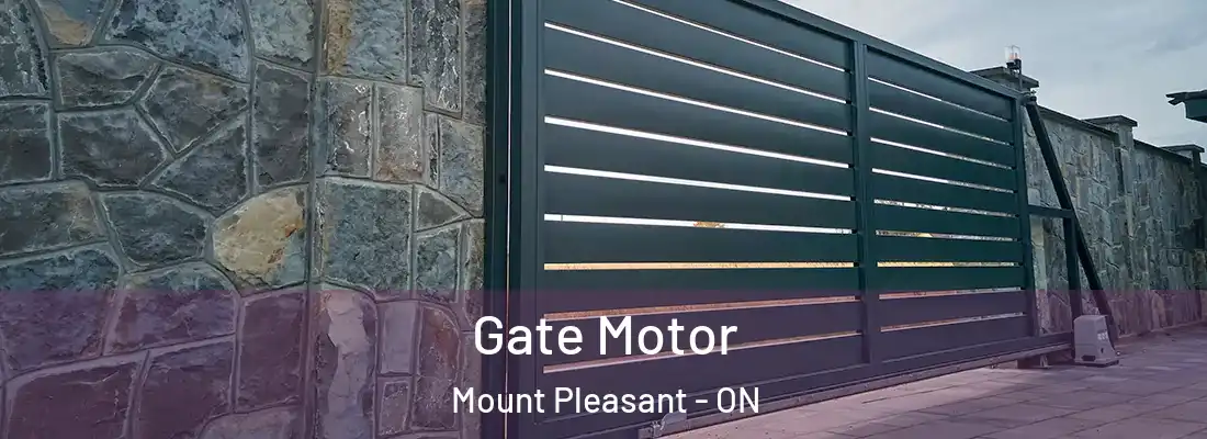  Gate Motor Mount Pleasant - ON