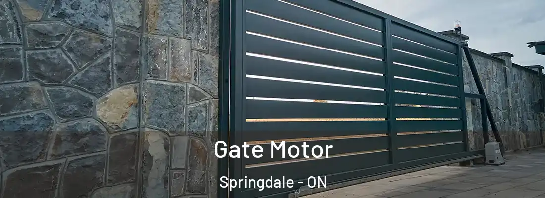  Gate Motor Springdale - ON