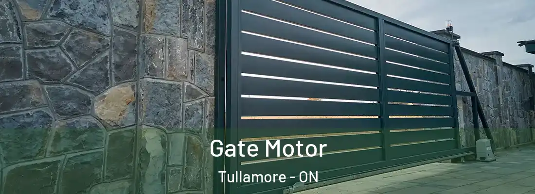  Gate Motor Tullamore - ON