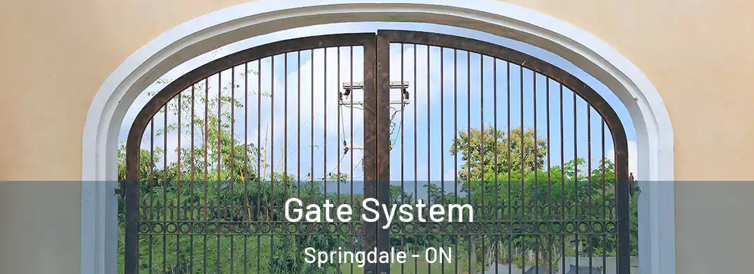  Gate System Springdale - ON