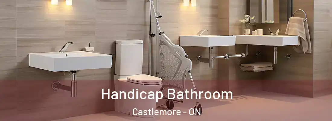  Handicap Bathroom Castlemore - ON