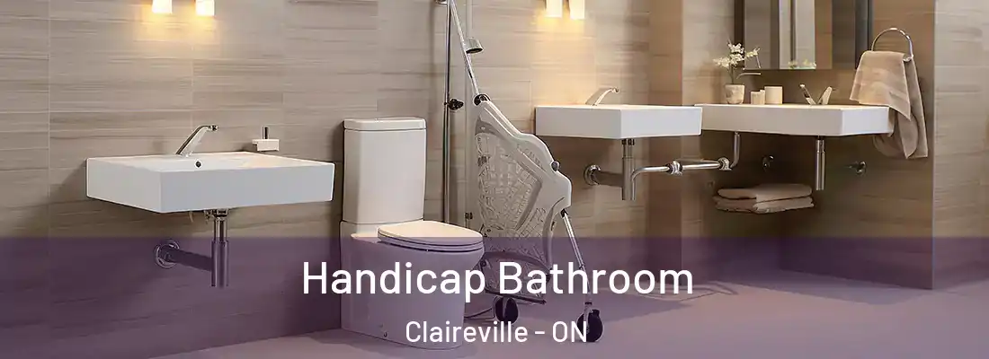  Handicap Bathroom Claireville - ON
