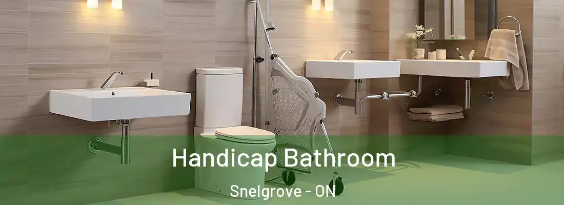  Handicap Bathroom Snelgrove - ON