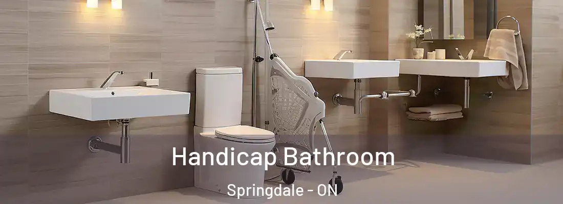  Handicap Bathroom Springdale - ON