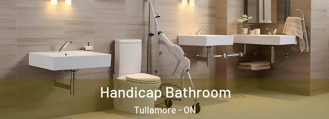  Handicap Bathroom Tullamore - ON