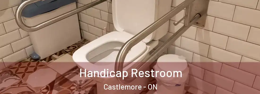  Handicap Restroom Castlemore - ON