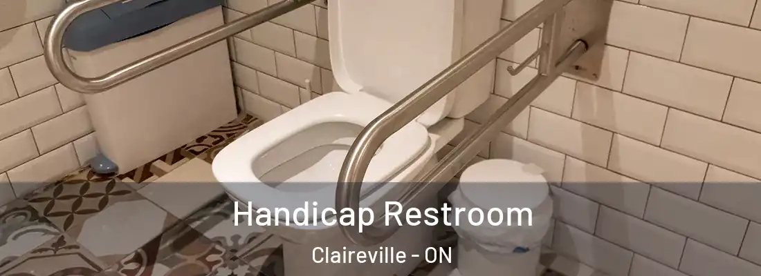  Handicap Restroom Claireville - ON