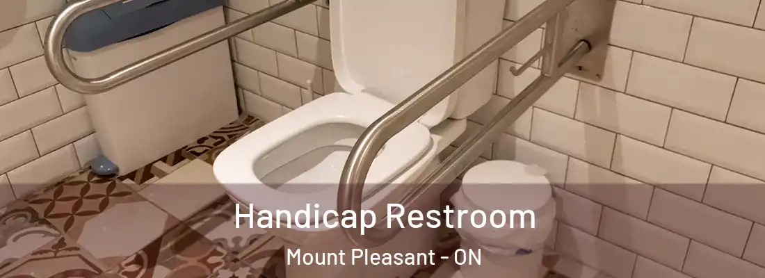  Handicap Restroom Mount Pleasant - ON