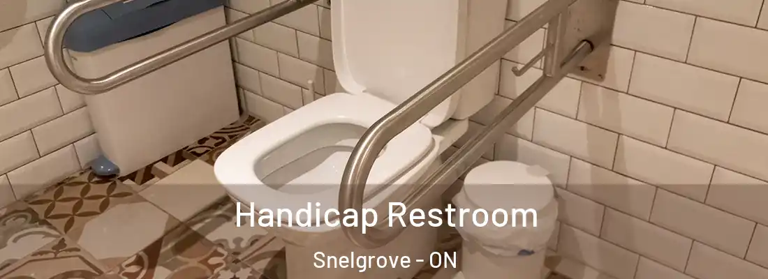  Handicap Restroom Snelgrove - ON
